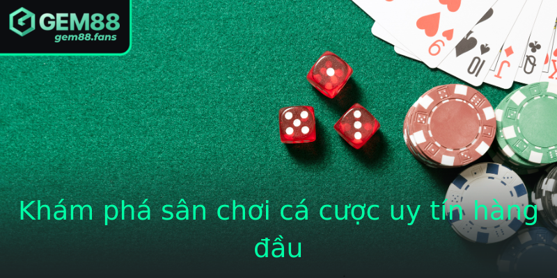 Khám phá sân chơi cá cược uy tín hàng đầu